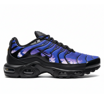 Nike Air Max Plus (TN)