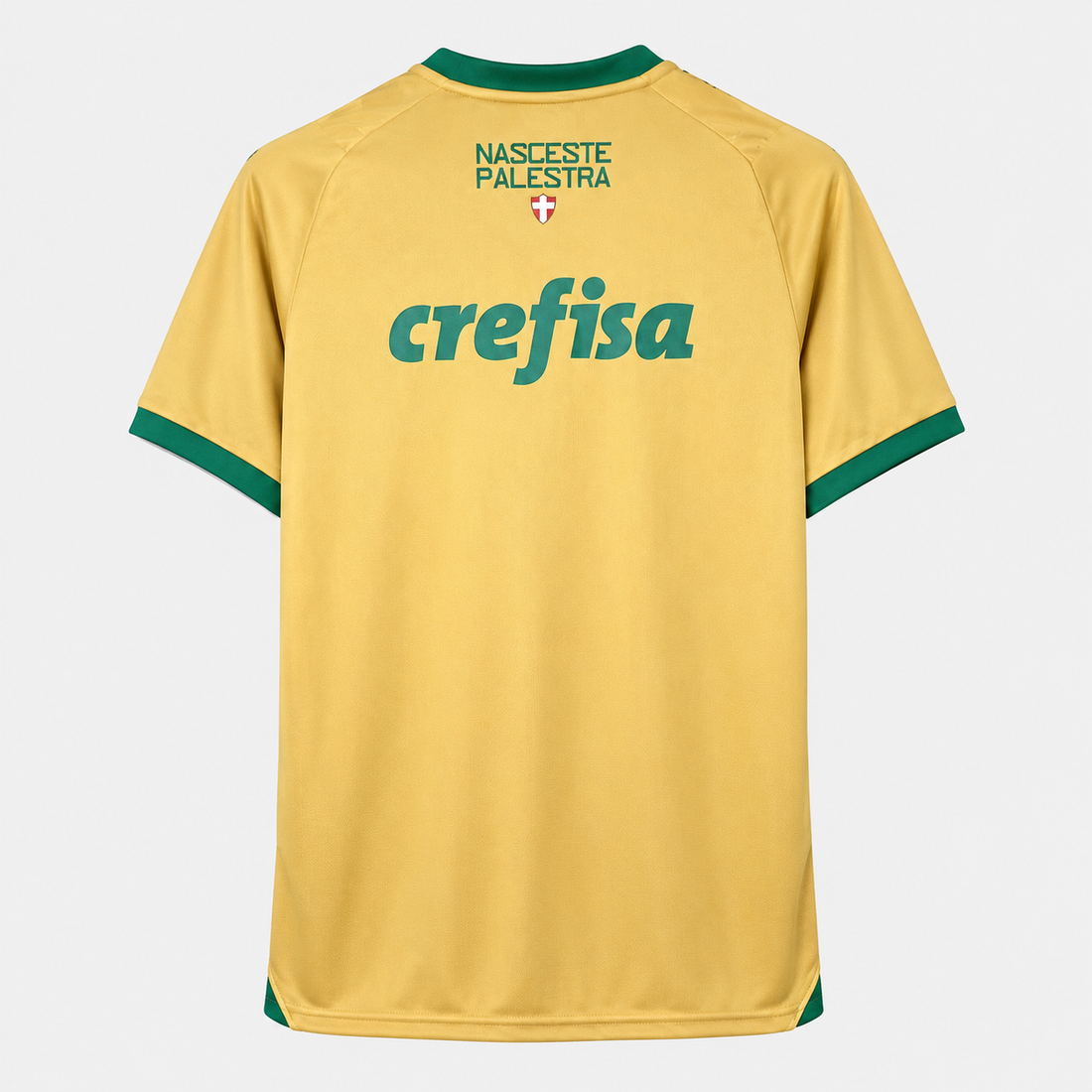 Camisa Palmeiras 2024/25 III