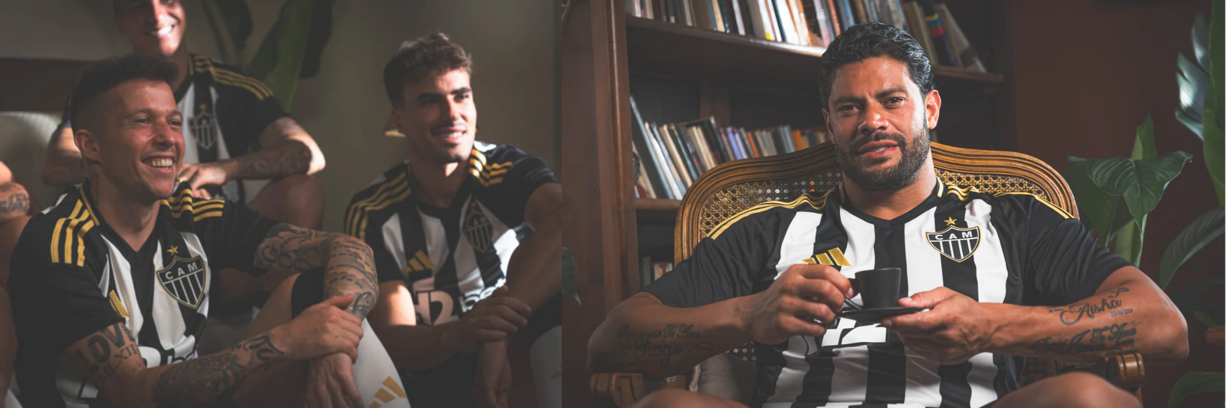 collection-banner-image