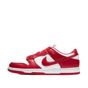 NIKE DUNK LOW PRO