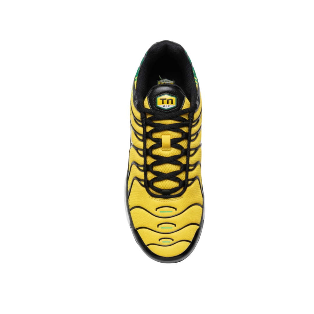 Nike Air Max Plus Brasil (TN)